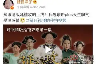 辣目洋子个人资料被延禧攻略片头曲这满满的敷衍和风征服了