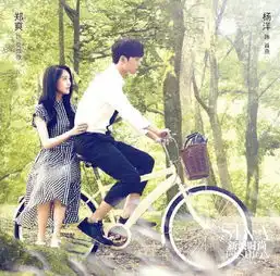 郑爽赵丽颖唐嫣刘诗诗新四小花旦2015谁承包的男神多
