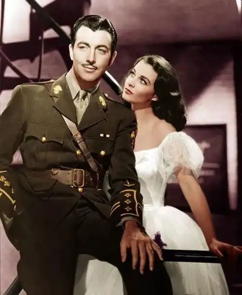 怎样评价费雯丽
