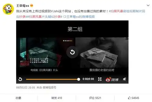 扫黑风暴被爆抄袭网友原创最惨