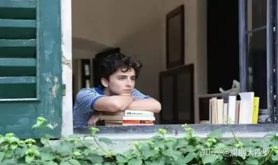 请以你的名字呼唤我情窦初开日,蜜桃成熟时,获得多次大奖,今天推荐给你们
