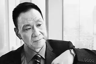 明星扎堆打酱油制造看点大赚眼球