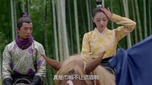 太子妃升职记芃芃来到中转站,谁料却遭遇暗杀,还好有杨严保护