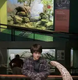 梁朝伟张柏芝周星驰都来这些地方拍过电影太太太适合拍照了
