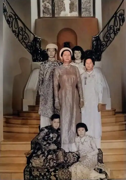 越南最美皇后南芳上色照片雍容华贵有气质,儿子长得神似吴奇隆
