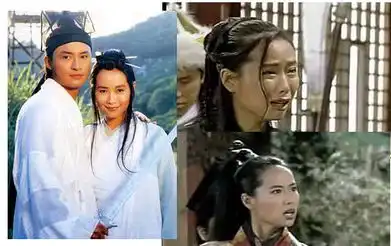 古装剧中的绝世丑女宫3袁姗姗西瓜头秦海璐头上插勺子
