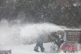 暴风雪致纽约大批航班暂停中国旅客滞留忧无住处