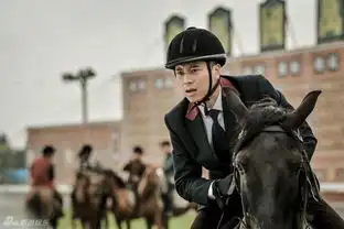 怒火英雄降临王雷不再土帅变袁帅