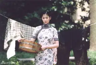 组图李小冉旗袍装锦集演绎百变大家闺秀