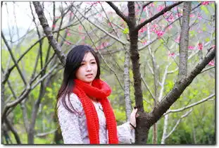 我和春天有个约会