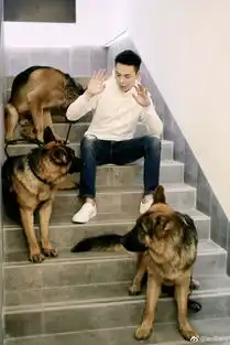 南方有乔木陈伟霆白百何谈一场科技情缘那个超苏的男人要来撩你了
