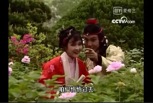 从两版湘云醉卧,看87版红楼梦的意境构图美学