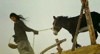 杨采妮我怎么会跟玉女这个称号有关系