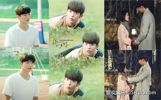 奶酪陷阱拍电影版是否原班人马成谜朴海镇徐康俊南柱赫各有魅力