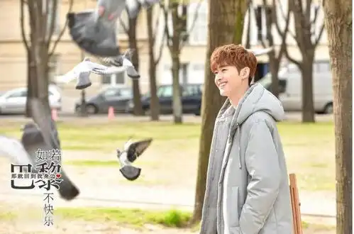 如果巴黎不快乐,如果你还爱着我
