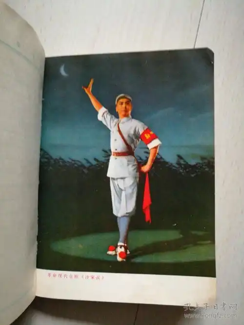 泰山顶上一青松老日记本