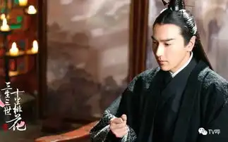 现象级黑马良心2017不可错过的10部剧