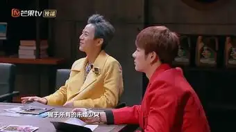 芳心纵火犯什么梗何炅薛之谦名侦探俱乐部胜跑男
