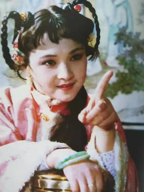 红楼梦里梅家为何不嫌弃薛宝琴是商人的女儿王子腾看我的面子
