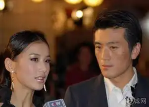 杨子黄圣依什么关系史上最牛逼明星小三