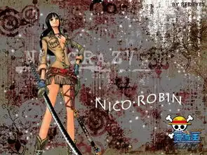 海贼王御姐罗宾百变图集