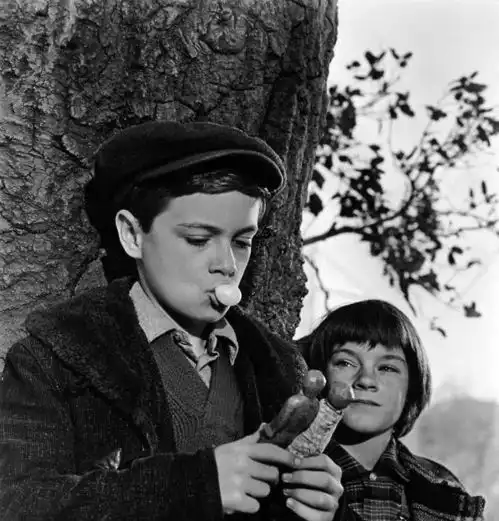 杀死一只知更鸟一个人的内心是否强大,看一点就知道了
