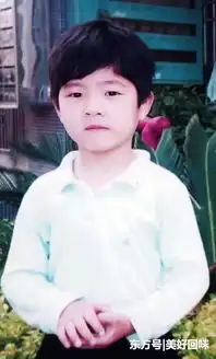明星少年时照片章子怡胡歌景甜李易峰林志颖张艺兴
