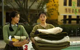 关于电影芳华的剧照及相片之类的有吗
