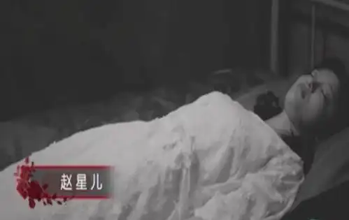 明星大侦探3赵星儿到底是什么身份真是张若昀的妹妹吗