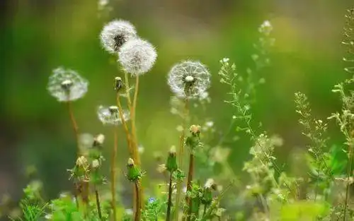 人生就是步履不停,还好我没有退缩
