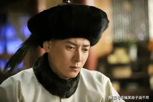 九阿哥胤禟在九子夺嫡中扮演了什么角色他的生母很有名气