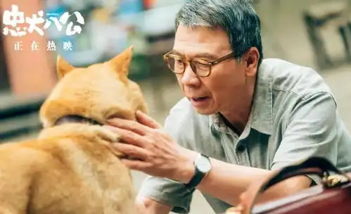 忠犬八公其实比你看到的还要惨徐元专栏