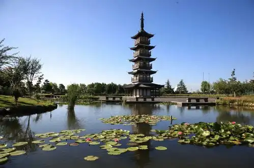 生活在风景中,青浦区这些市容街景提升了
