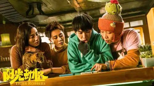 观音山导演新作阳光劫匪定档12月31日马丽宋佳奇幻寻虎浪漫跨年