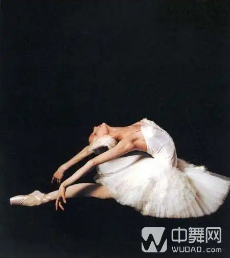 芭蕾唯美剧照集锦看妹纸们的大长腿
