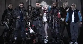 超人大战蝙蝠侠后dc还有什么可以看