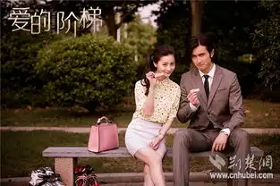 爱的阶梯张维娜恋情现新转机感情决择引网友关注
