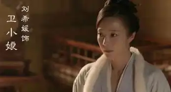 知否卫小娘的扮演者太眼熟到底是谁害死了卫小娘
