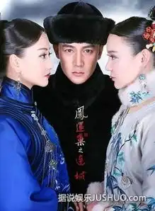 于正辩白琼瑶梅花烙扭曲宫3现代