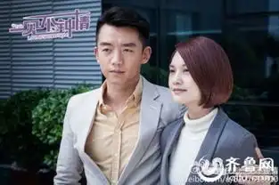 杨丞琳一见不钟情2325集费洛洛郑伟华反目剧情介绍
