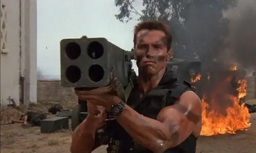 施瓦辛格高攀肯尼迪侄女,和保姆婚外恋20年,73岁离婚交小女友
