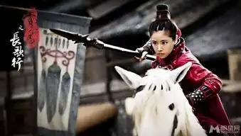 林心如秀丽江山曝武戏剧照女汉子来袭1
