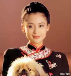 陈凯歌老婆陈红早年剧照曝光美的一塌糊涂