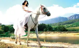 莫文蔚婚纱照曝光身骑白马如奇幻异域公主
