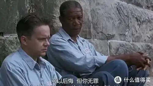 肖申克的救赎我心中的top0深度剧情解析从绝望到自由的不朽旅程
