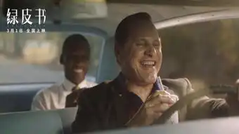 绿皮书剧照垃圾
