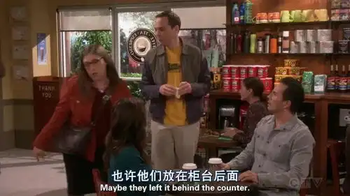 生活大爆炸傻乎乎的谢家新婚夫妇,寻宝游戏