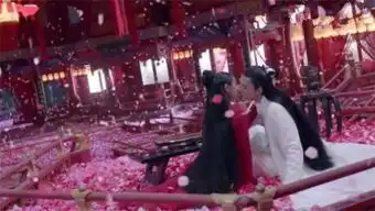 烈火如歌熏衣一刀重伤烈如歌银雪变为雪花守护如歌
