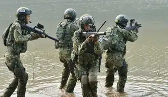 特种兵霹雳娇娃甜美火凤凰比基尼照成突破组图