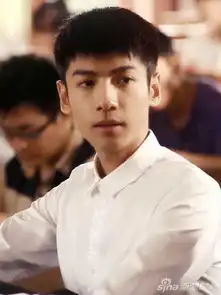 何以笙箫默钟汉良罗云熙帅气pk大小何以琛你爱哪款
